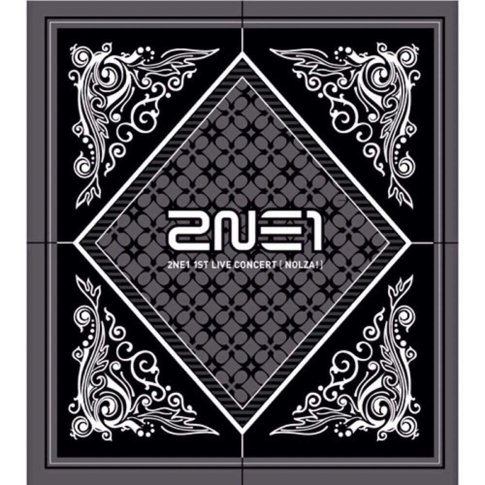 歌手：2NE1 专辑： 2011 1st Live Concert NOLZA!