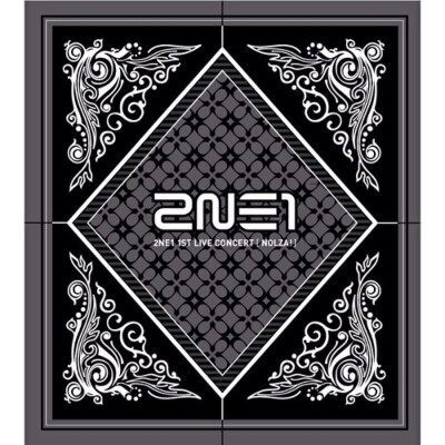 歌手：2NE1 专辑： 2011 1st Live Concert NOLZA!