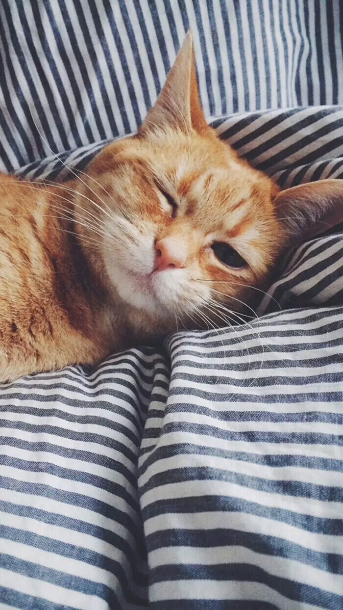 睡眼惺忪