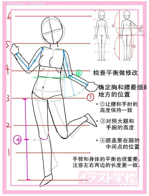 面向初学者的插画教程 头身比例（实践篇）6