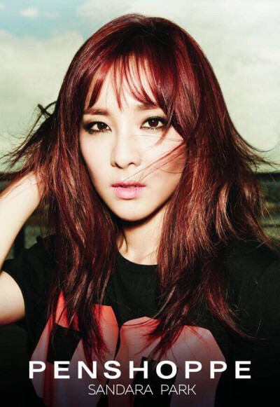 2ne1 dara