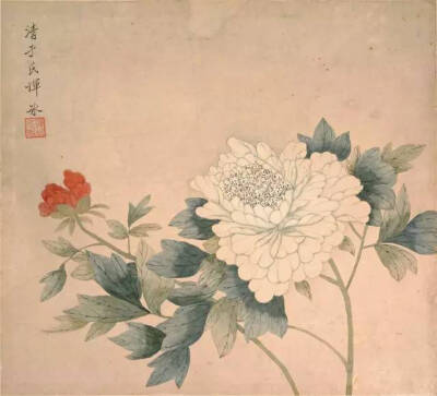 清 恽冰《牡丹图》国色天香 花鸟画小品 款题“蒲塘秋艳，抚南田公本，女氏恽冰。”钤“恽冰”、“清于”印。 作者以写实的手法，成功刻画了蒲塘秋日的丽景.。整幅运用没骨法，萍藻以色彩直接点就，荷花则以粉红色点…