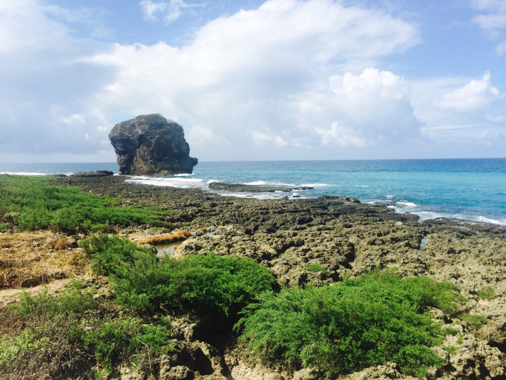 尼克松的鼻子。台湾