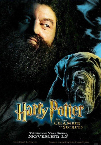 harry potter and the chamber of secrets-Rubeus Hagrid