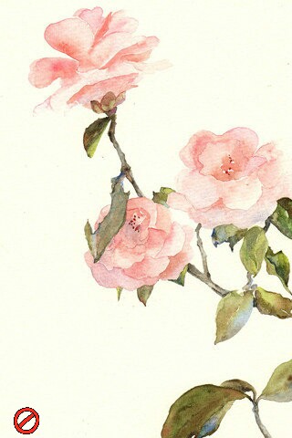 水彩味，淡淡的浓。