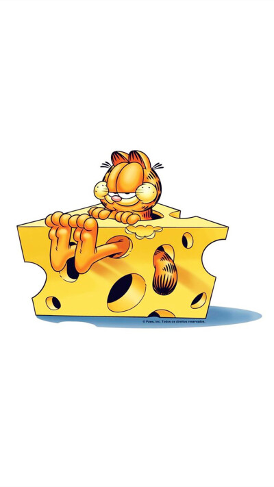 iPhone5 iPhone6 iPhone6 Plus wallpaper wechat 微信背景 壁纸 锁屏 待机 主题 桌面 可爱 加菲猫 Garfield