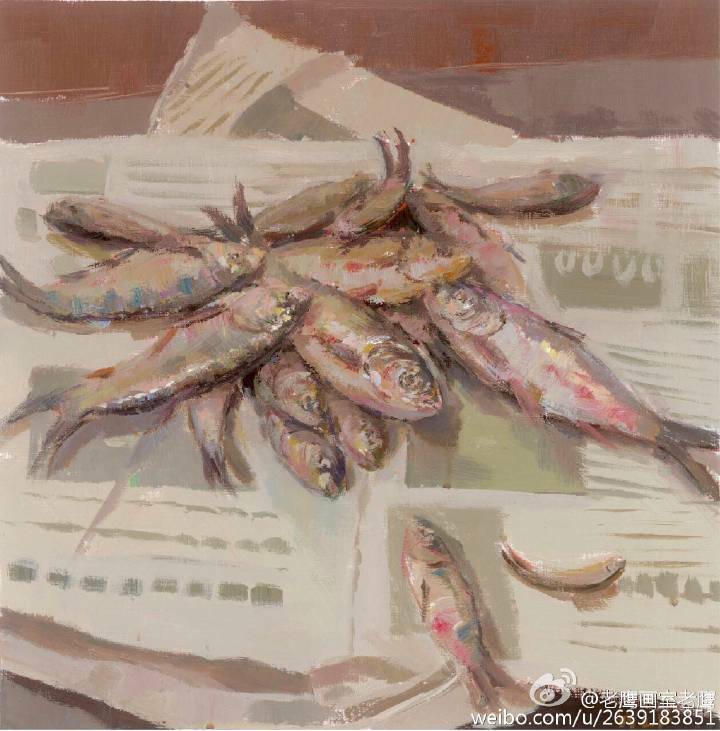 美术生 色彩 水粉 鱼 报纸