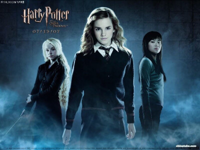 Harry Potter and the Order of the Phoenix-Luna&amp;amp;Hermione&amp;amp;Cho