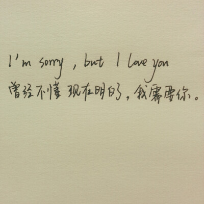 耳听爱情留言板 l'm sorry,but l love you.曾经不懂现在明白了，我需要你。 手写文字 句子 原创 YeahLi