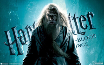 Harry Potter and the Half-Blood Prince-Dumbledore