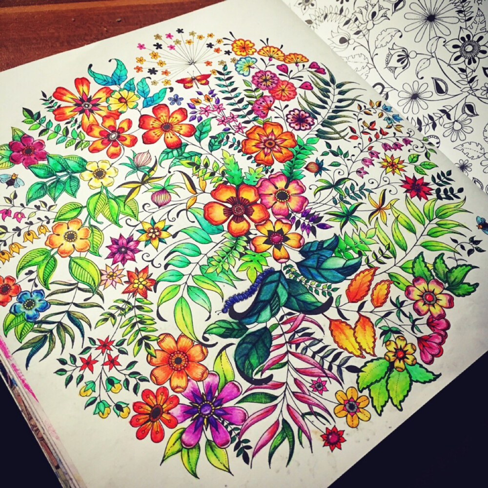 秘密花园