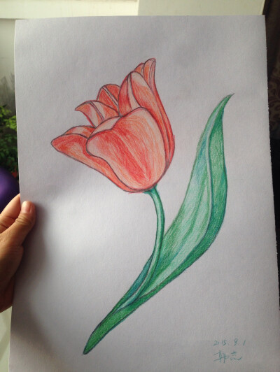 人生中第一副正儿八经的画画作品