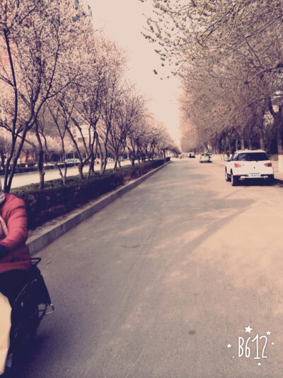 学校旁边的小路～～～