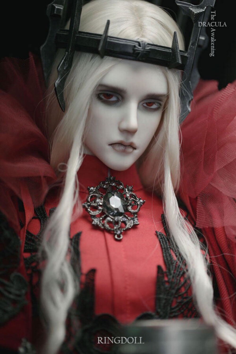 Ringdoll│Dracula