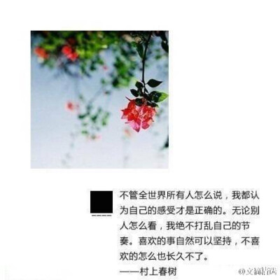 村上春树说：这话我没说