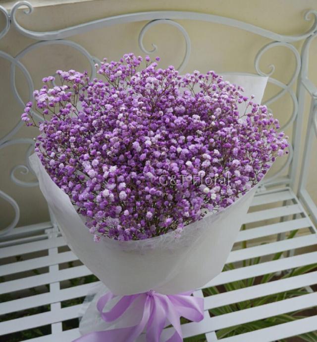 满天星 花语为:清纯,关怀 情感上,代表着"甘愿做配角的爱".