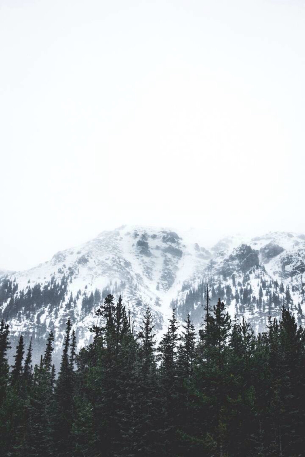 美景 壁纸 山 树 自然