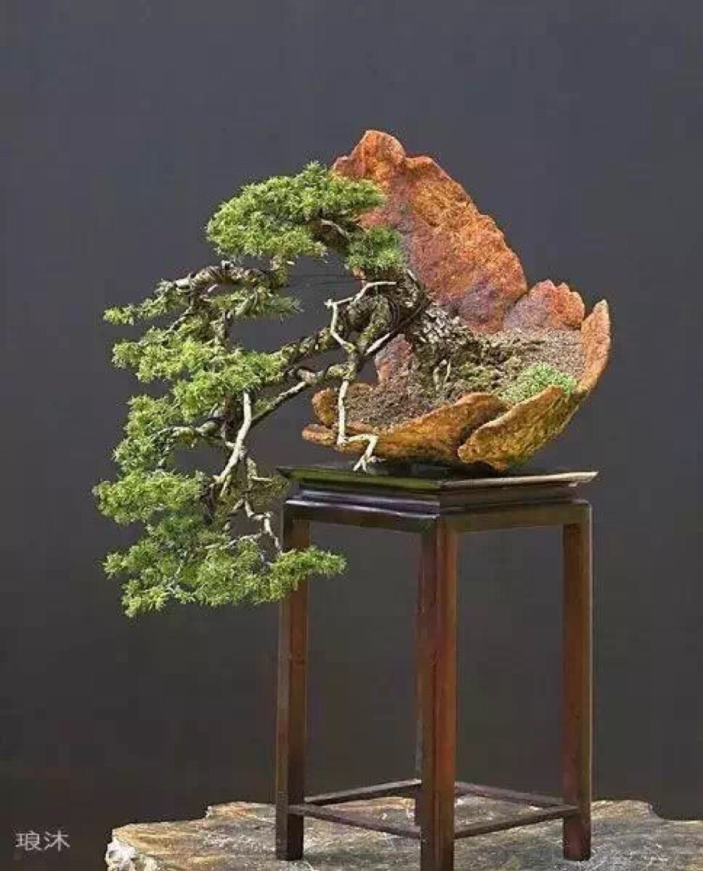 盆景起源于古代园林造景，以摹仿自然山水景色营造园林。同时给人宁静与岁月的沉淀，在盆景中体会人生的禅意。