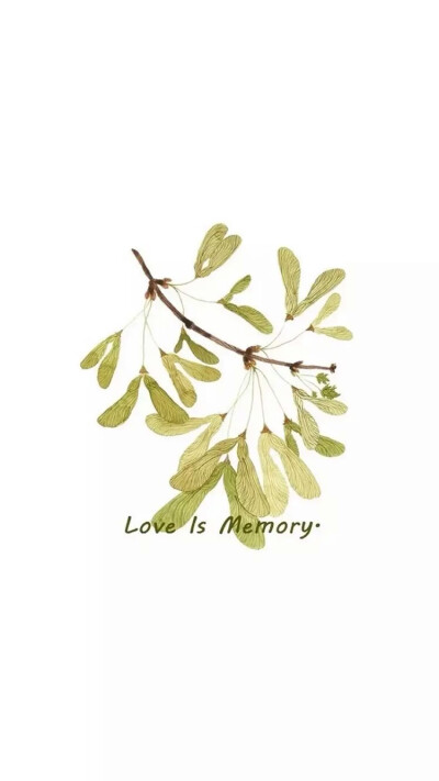 壁纸 小清新 love is memory