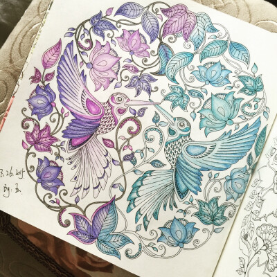 搜集的《秘密花园》