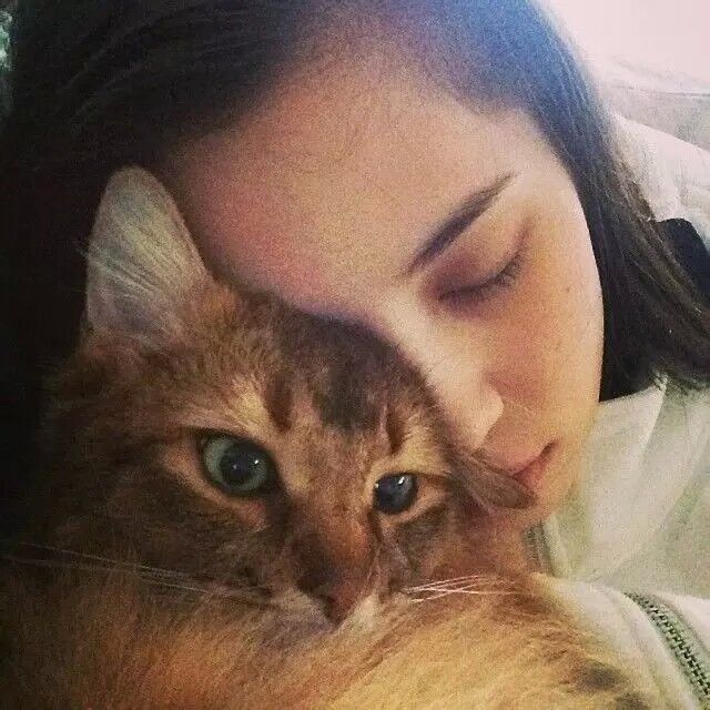 女头像爱猫的女孩都善良