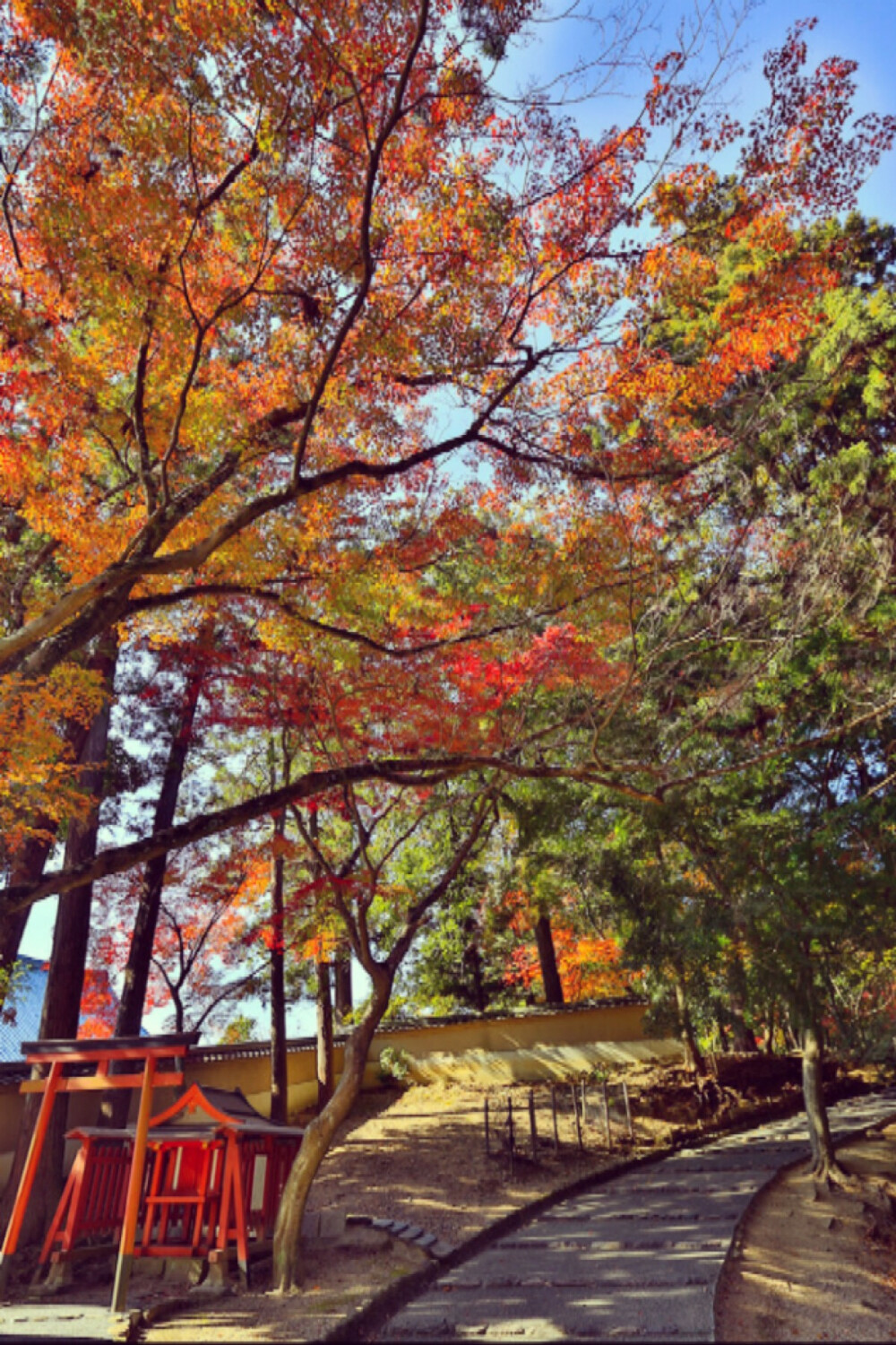 （东大寺）奈良 东大寺位于平城京（今奈良）东，是南都七大寺之一，距今约有一千二百余年的历史。