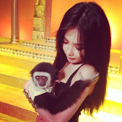 要是我是那只猴子那就好了