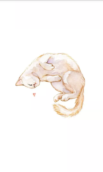 高清壁纸 猫 手绘猫 小清新 头像 彩笔画 白猫 猫的睡姿