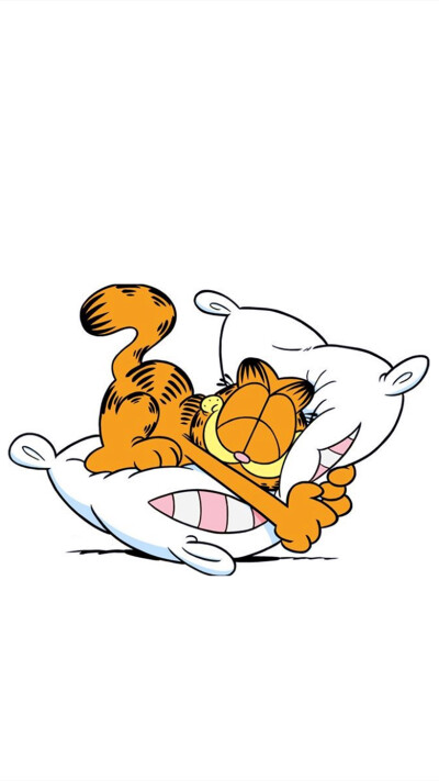 iPhone5 iPhone6 iPhone6 Plus wallpaper wechat 微信背景 壁纸 锁屏 待机 主题 桌面 可爱 加菲猫 Garfield