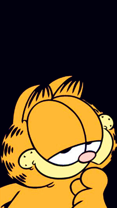 iPhone5 iPhone6 iPhone6 Plus wallpaper wechat 微信背景 壁纸 锁屏 待机 主题 桌面 可爱 加菲猫 Garfield