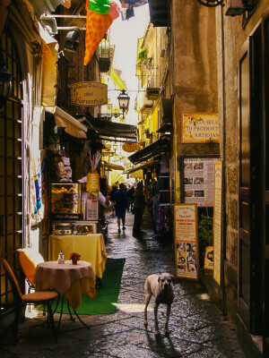 Sorrento,Campania, Italy(by Martin Elliss)。意大利苏莲托（索伦托），意大利南部城镇，濒那不勒斯湾。苏莲托沿着苏莲托半岛边缘而建，除了港口附近有一小块沙滩外，其余的城市边缘皆在峭壁处，因此这里拥有无敌海景视野，在城市里就可欣赏到地中海旖旎秀美，气势磅礴的美景。著名的Amalfi Drive就是从苏莲托开始的。苏莲托以柠檬著称于世，lemon cello虽在这个地区都有酿造，却以苏莲托出品的最为正宗和著名。除此之外，柠檬被用在几乎任何场合:巧克力，香水，香皂，甜品等等。