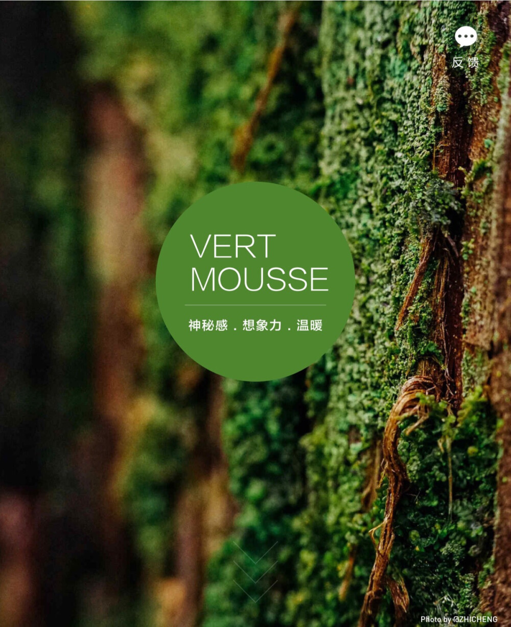 淘宝色彩购——VERT MOUSSE 苔之绿