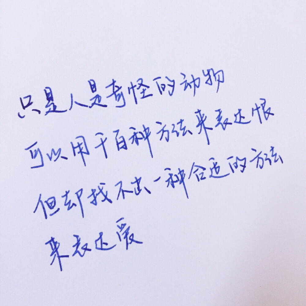 文字为摘抄 手写为原创 治愈 爱情 青春 励志 手写 文字 文艺