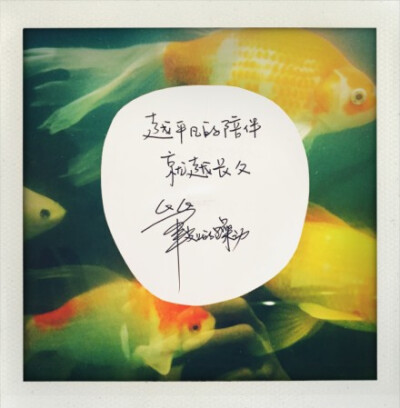 笔尖上的躁动 小井