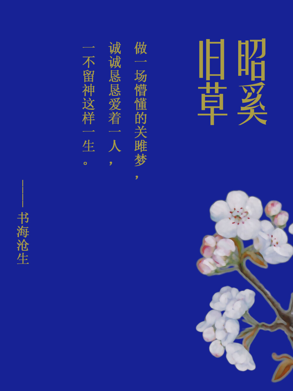 做一场关雎梦，诚诚恳恳爱着一人，一不留神这样一生。——书海沧生昭奚旧草图片美图壁纸明信片插画头像。