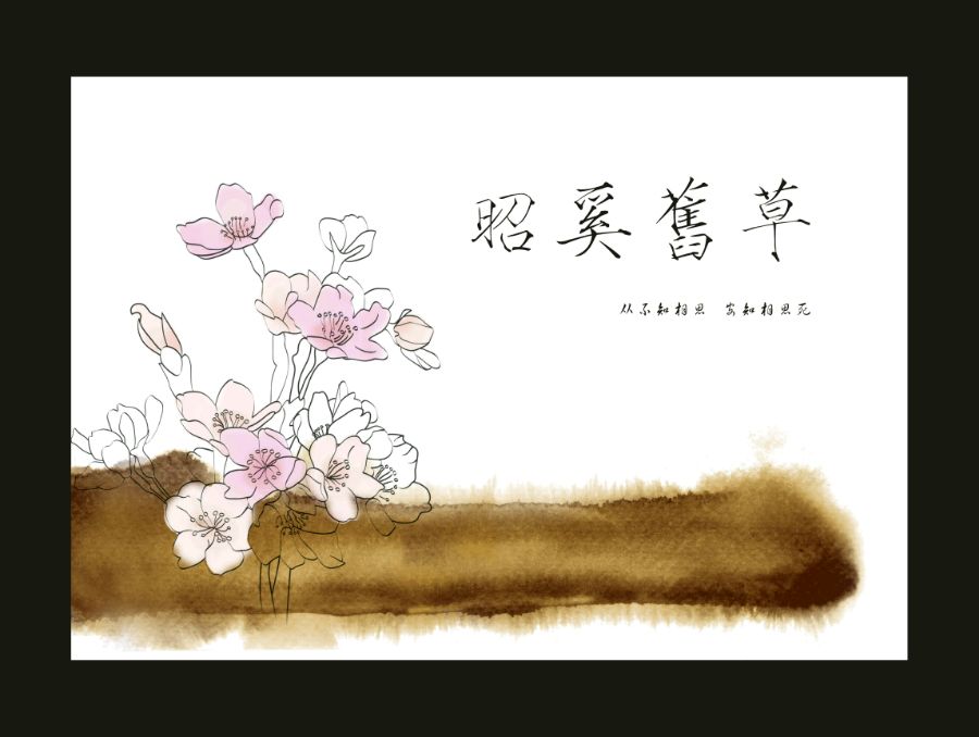 ——书海沧生昭奚旧草图片美图壁纸明信片插画头像。