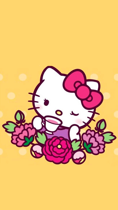 iPhone5 iPhone6 iPhone6 Plus wallpaper wechat 微信背景 壁纸 锁屏 待机 主题 桌面 可爱 Hello Kitty