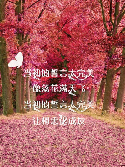 当初的思念太完美，像落花满天飞