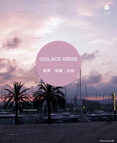 淘宝色彩购——VIOLACE GRISE 灰紫