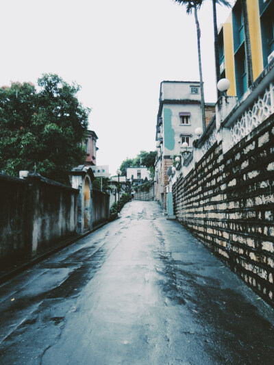 独自一人走在被雨冲刷过的街道上，但也没觉得有多少孤单。