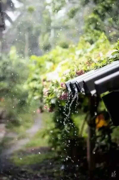 南朝四百八十寺，多少楼台烟雨中