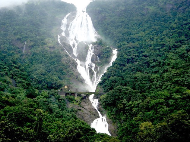 印度－都沙格瀑布(Dudhsagar Falls)