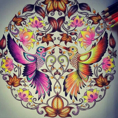 搜集的《秘密花园》