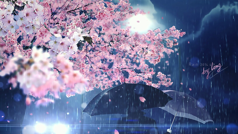 雨夜 樱花 唯美