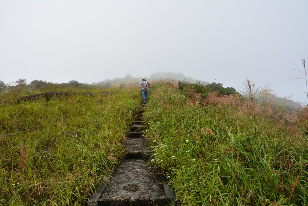 登山