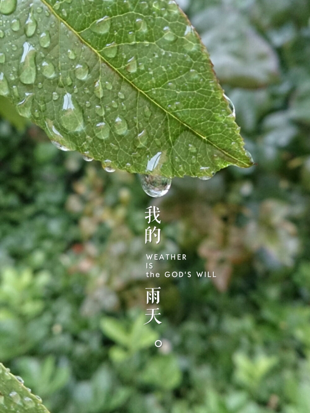 下雨天。。。。