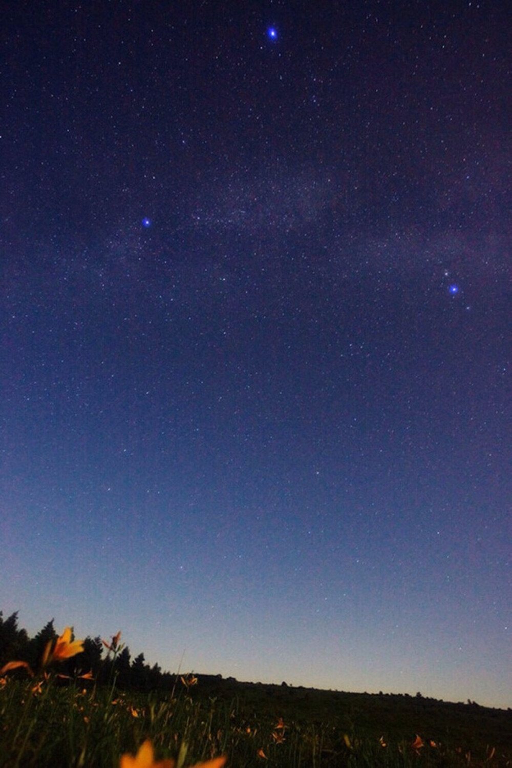 唯美星空 夜景 夜空 星光 自然风景 iphone手机壁纸 唯美壁纸 锁屏