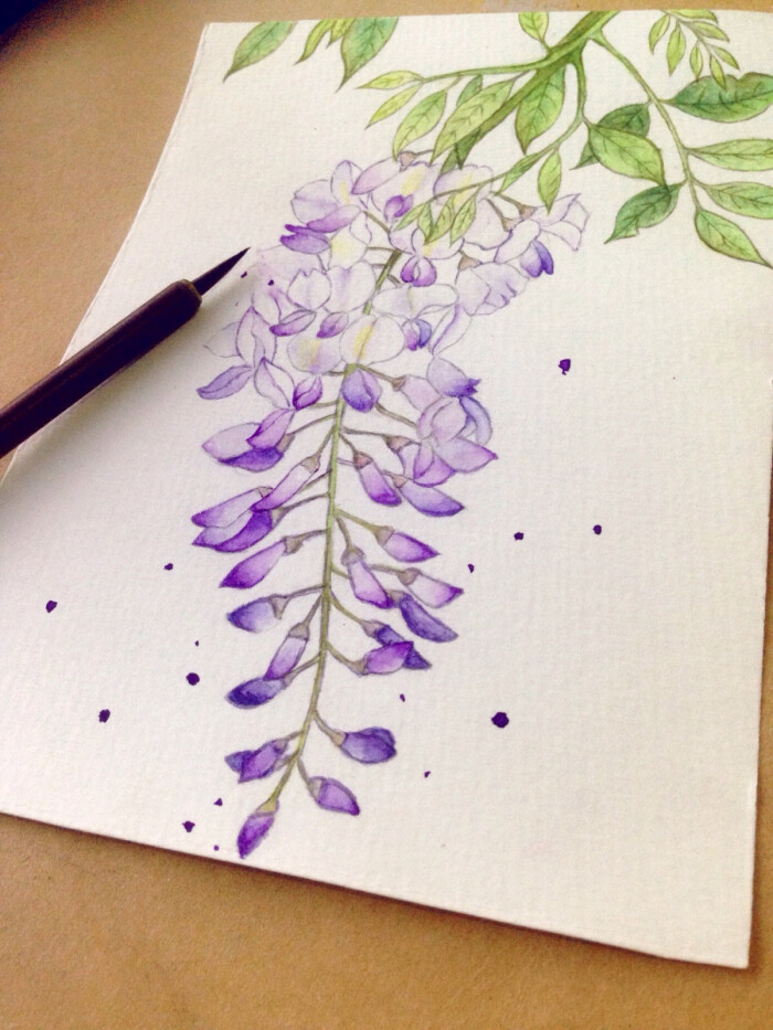 水彩手绘紫藤花 堆糖 美图壁纸兴趣社区