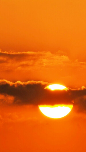 iPhone 壁纸 简约 橘色