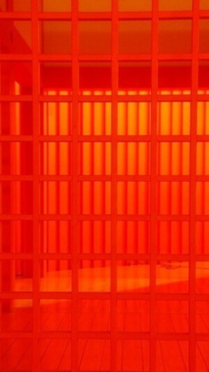 iPhone 壁纸 简约 橘色